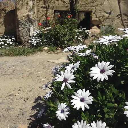 Casa de Férias Gonia *