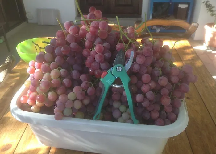 Сasa de vacaciones Gonia Pera Orinis