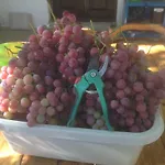 بيت للعطل Gonia Pera Orinis