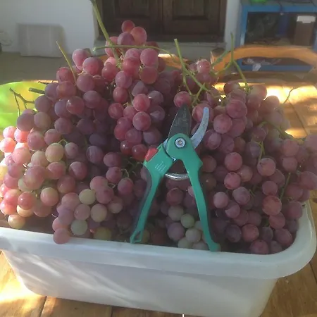בית נופש Gonia Pera Orinis